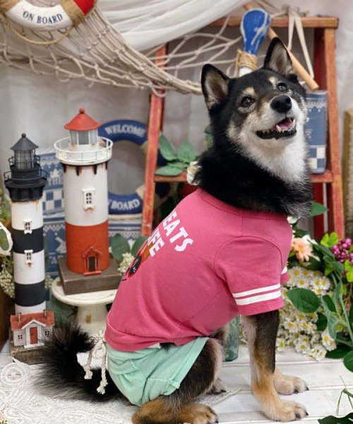 画像7:  【30%OFF】 【as know as de wan】 NオーシャンパイルSPT (7)