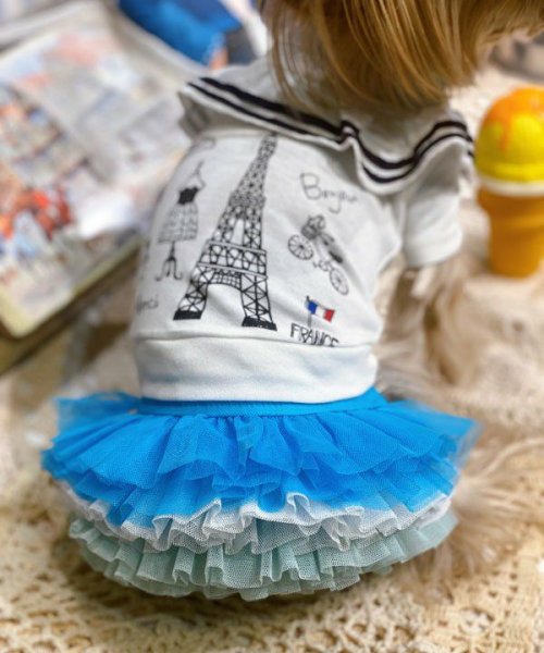 画像6:  【30％OFF】 【as know as de wan】ＮオーシャンチュチュＳＫ (6)