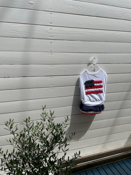 画像15:  【30％OFF】 【as know as de wan】ＮオーシャンチュチュＳＫ (15)