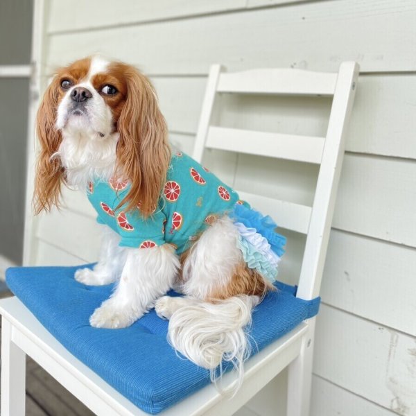 画像20:  【30％OFF】 【as know as de wan】ＮオーシャンチュチュＳＫ (20)