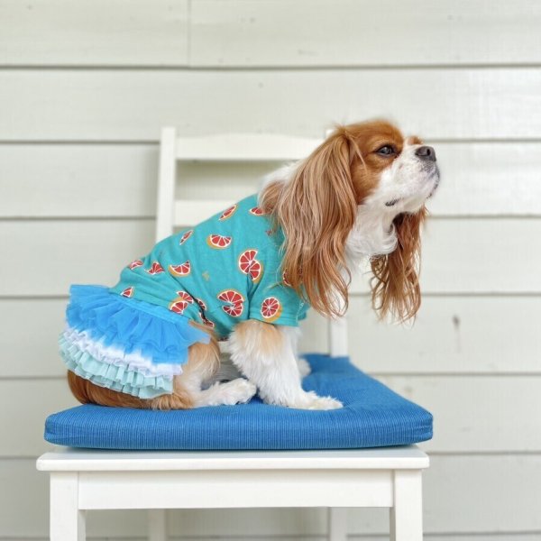 画像19:  【30％OFF】 【as know as de wan】ＮオーシャンチュチュＳＫ (19)