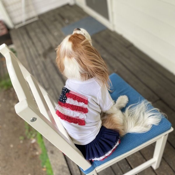 画像23:  【30％OFF】 【as know as de wan】ＮオーシャンチュチュＳＫ (23)