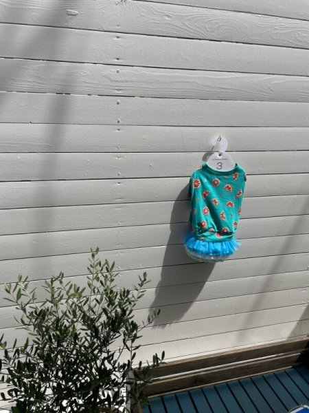 画像14:  【30％OFF】 【as know as de wan】ＮオーシャンチュチュＳＫ (14)