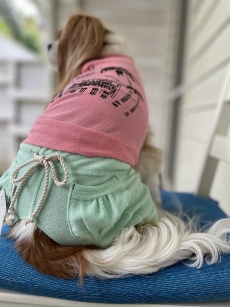 画像12:  【30%OFF】 【as know as de wan】 NオーシャンパイルSPT (12)