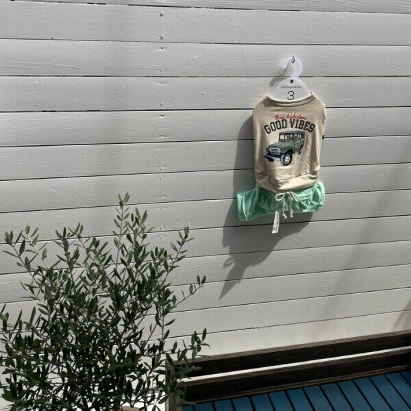 画像14:  【30%OFF】 【as know as de wan】 NオーシャンパイルSPT (14)