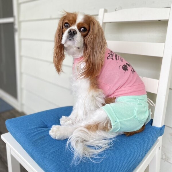 画像11:  【30%OFF】 【as know as de wan】 NオーシャンパイルSPT (11)