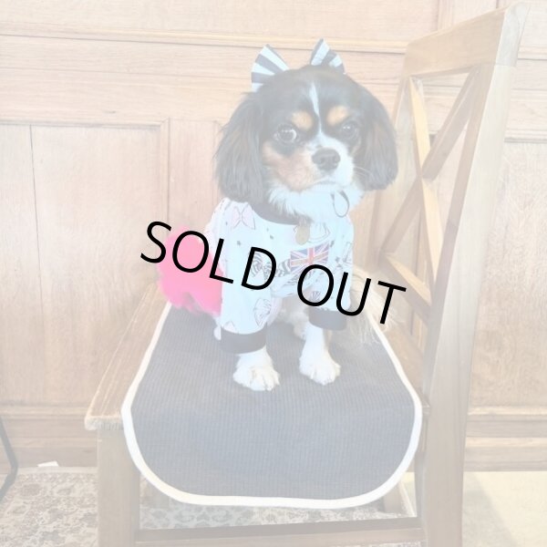 画像3: キャバスーツ☆リボンカチューシャ：COCO ストライプ (3)