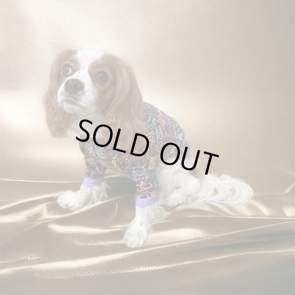 画像6:  30％OFF 【CAVA TEE】TOKYO NIGHT (6)