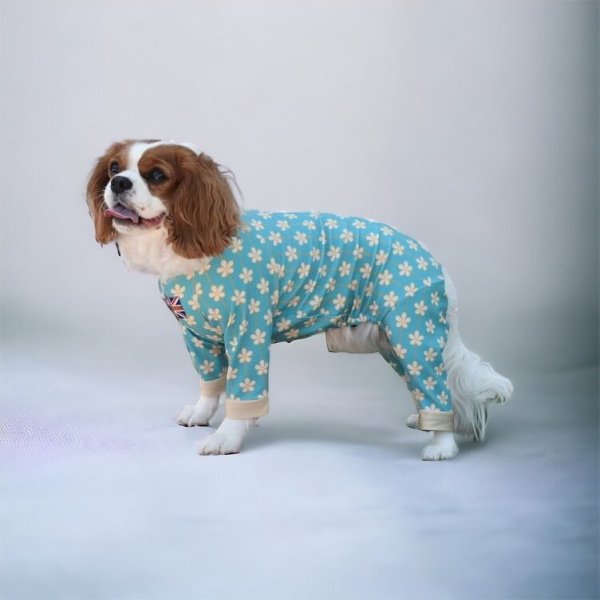 画像5: 【キャバスーツ LIMITED】アルハンブラ (5)