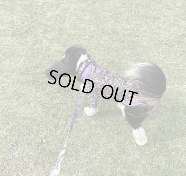 画像7:  30％OFF 【CAVA TEE】TOKYO NIGHT (7)