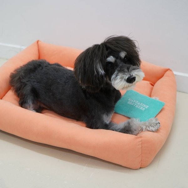 画像11: 【10%OFF】MB COOL PILLOW (11)