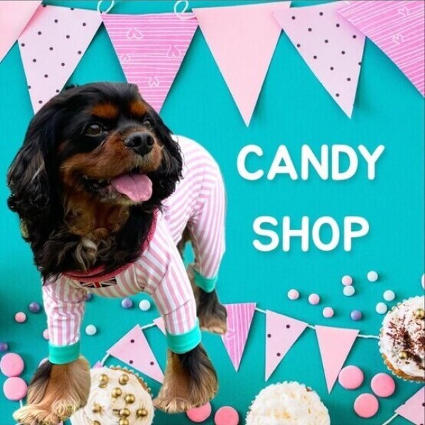 画像3:  10％OFF 【キャバスーツ LIMITED】CANDY SHOP (3)