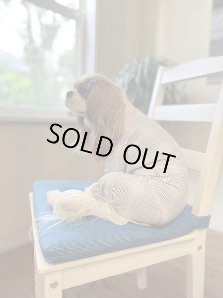 画像7:  10％OFF 【キャバスーツ LIMITED】official pink (7)