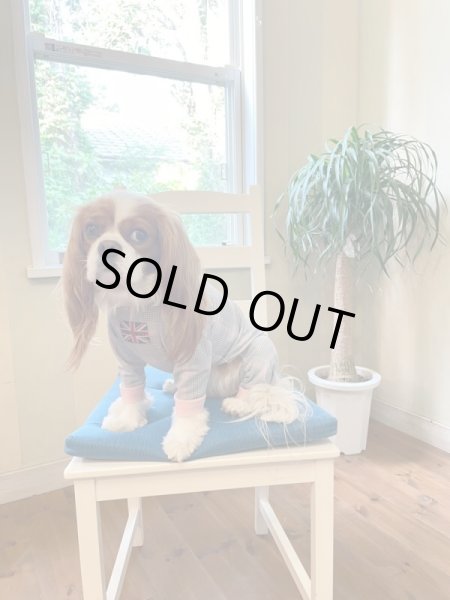 画像6:  10％OFF 【キャバスーツ LIMITED】official pink (6)