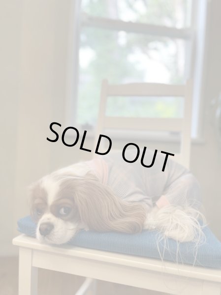 画像8:  10％OFF 【キャバスーツ LIMITED】official pink (8)