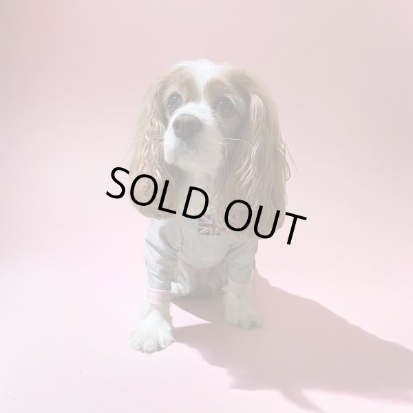 画像3:  10％OFF 【キャバスーツ LIMITED】official pink (3)