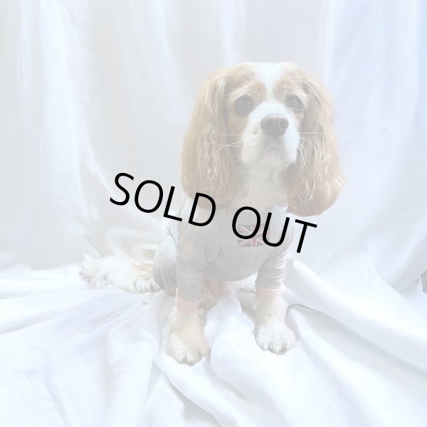 画像5:  10％OFF 【キャバスーツ LIMITED】official pink (5)