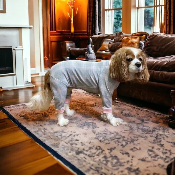 画像4:  10％OFF 【キャバスーツ LIMITED】official pink (4)