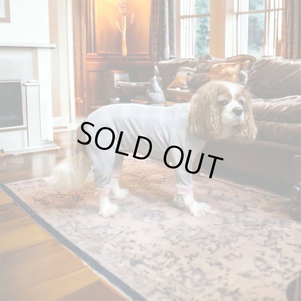 画像4:  10％OFF 【キャバスーツ LIMITED】official pink (4)