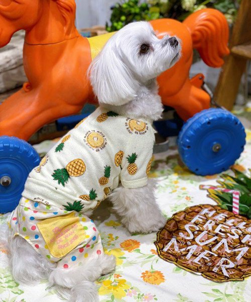 画像27:  【30％OFF】 【as know as de wan】ＮクールパパパパパインＴ (27)