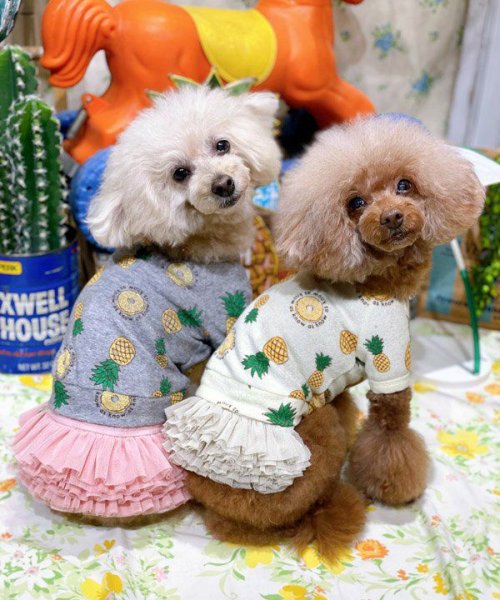 画像19:  【30％OFF】 【as know as de wan】ＮクールパパパパパインＴ (19)