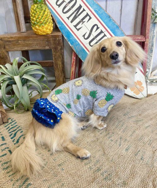 画像10:  【30％OFF】 【as know as de wan】ＮクールパパパパパインＴ (10)