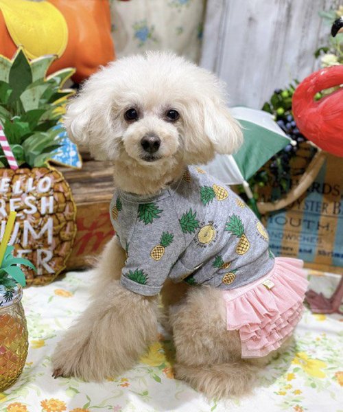 画像18:  【30％OFF】 【as know as de wan】ＮクールパパパパパインＴ (18)