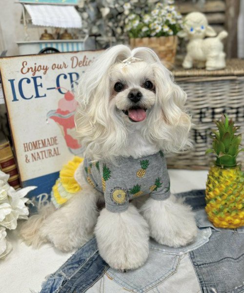 画像7:  【30％OFF】 【as know as de wan】ＮクールパパパパパインＴ (7)