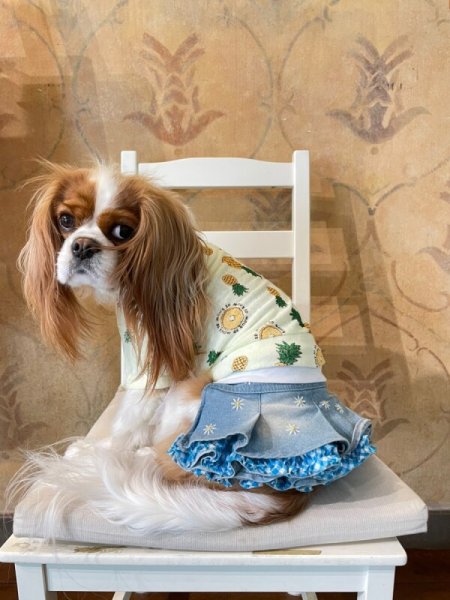 画像3:  【30％OFF】 【as know as de wan】ＮクールパパパパパインＴ (3)