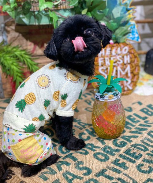 画像32:  【30％OFF】 【as know as de wan】ＮクールパパパパパインＴ (32)