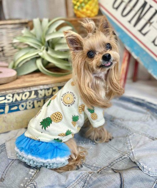 画像30:  【30％OFF】 【as know as de wan】ＮクールパパパパパインＴ (30)