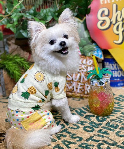 画像29:  【30％OFF】 【as know as de wan】ＮクールパパパパパインＴ (29)