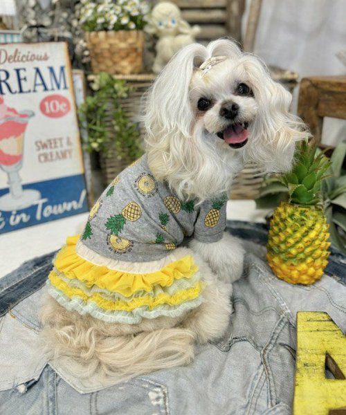 画像6:  【30％OFF】 【as know as de wan】ＮクールパパパパパインＴ (6)