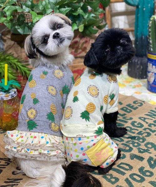 画像33:  【30％OFF】 【as know as de wan】ＮクールパパパパパインＴ (33)