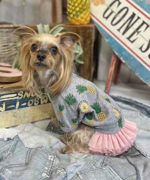 画像11:  【30％OFF】 【as know as de wan】ＮクールパパパパパインＴ (11)