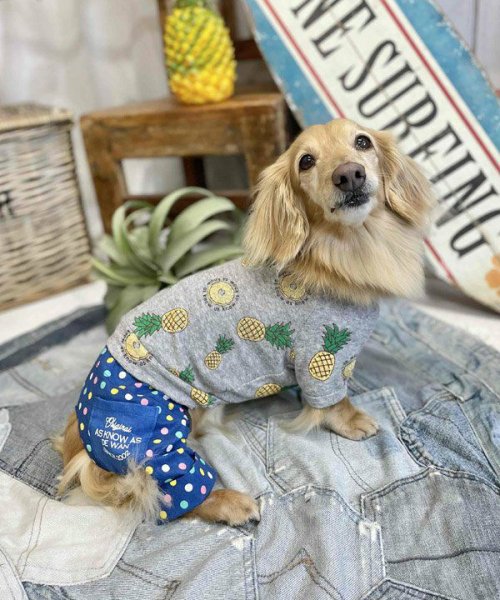 画像13:  【30％OFF】 【as know as de wan】ＮクールパパパパパインＴ (13)