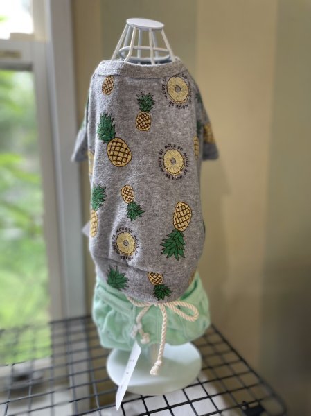 画像5:  【30％OFF】 【as know as de wan】ＮクールパパパパパインＴ (5)