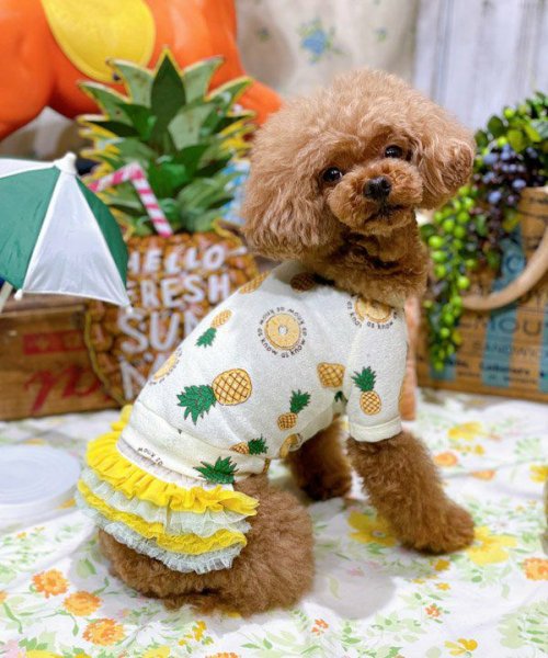 画像25:  【30％OFF】 【as know as de wan】ＮクールパパパパパインＴ (25)