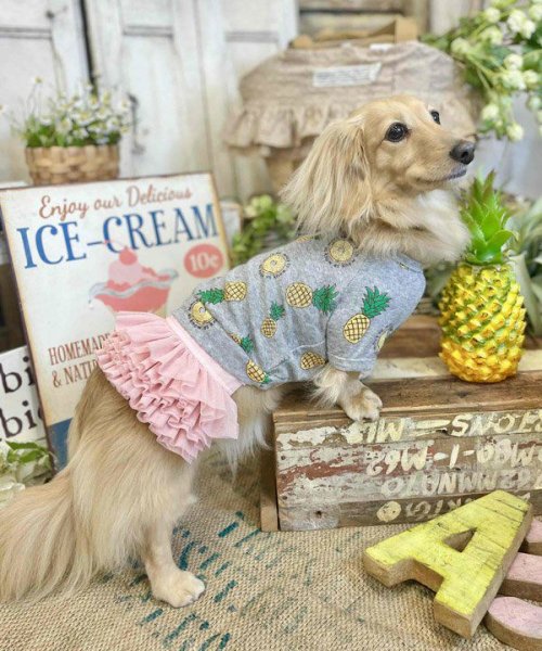 画像9:  【30％OFF】 【as know as de wan】ＮクールパパパパパインＴ (9)