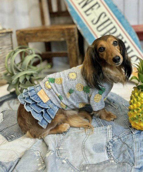 画像16:  【30％OFF】 【as know as de wan】ＮクールパパパパパインＴ (16)