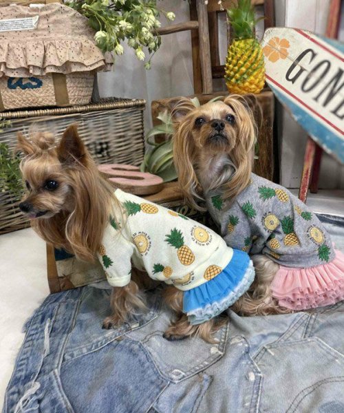 画像31:  【30％OFF】 【as know as de wan】ＮクールパパパパパインＴ (31)