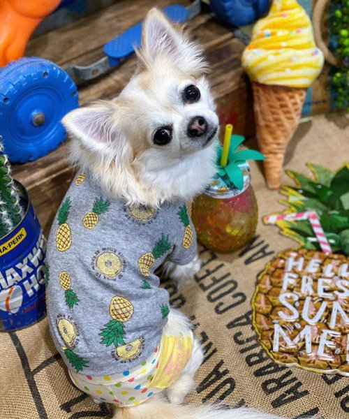 画像20:  【30％OFF】 【as know as de wan】ＮクールパパパパパインＴ (20)