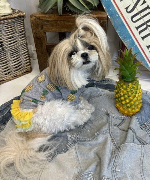 画像14:  【30％OFF】 【as know as de wan】ＮクールパパパパパインＴ (14)