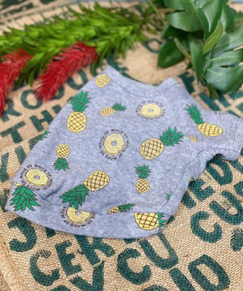 画像23:  【30％OFF】 【as know as de wan】ＮクールパパパパパインＴ (23)