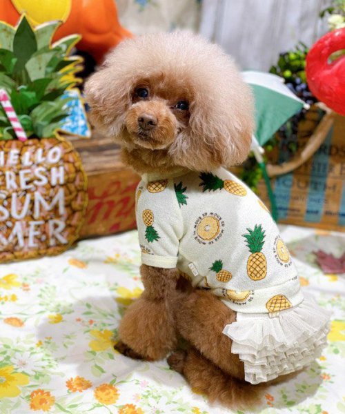 画像28:  【30％OFF】 【as know as de wan】ＮクールパパパパパインＴ (28)