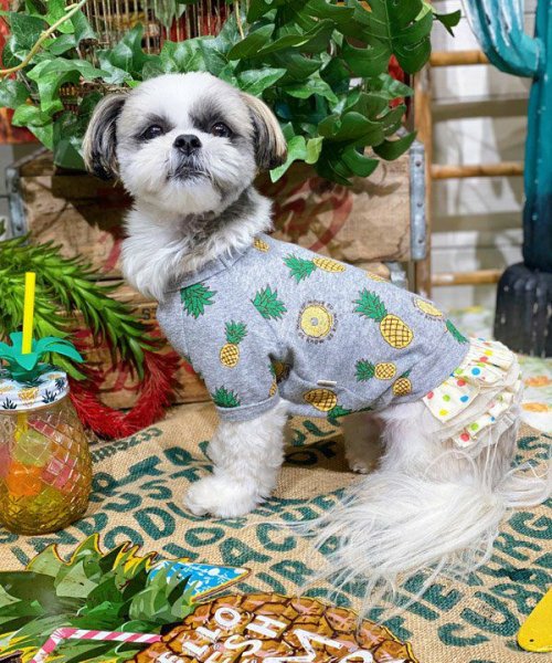 画像21:  【30％OFF】 【as know as de wan】ＮクールパパパパパインＴ (21)