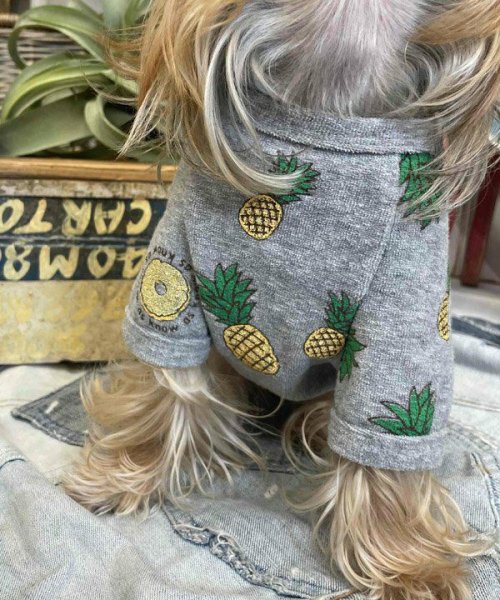 画像12:  【30％OFF】 【as know as de wan】ＮクールパパパパパインＴ (12)