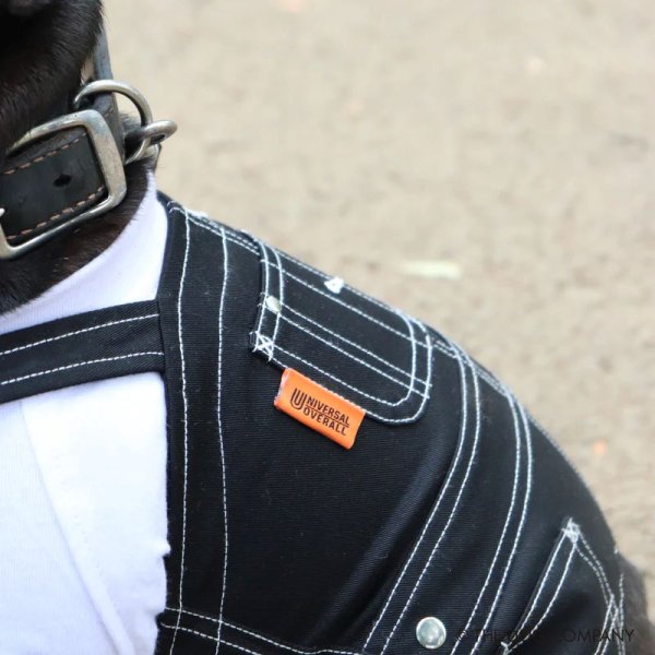画像6:  【10％OFF】 【UNIVERSAL OVERALL】DOG オーバーオール (6)
