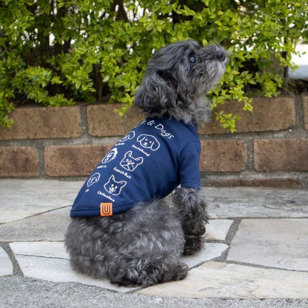 画像3:  【10％OFF】 【UNIVERSAL OVERALL】DOG T-SHIRT (3)