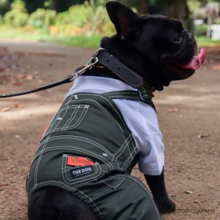 UNIVERSAL OVERALL - INU－CLOSET